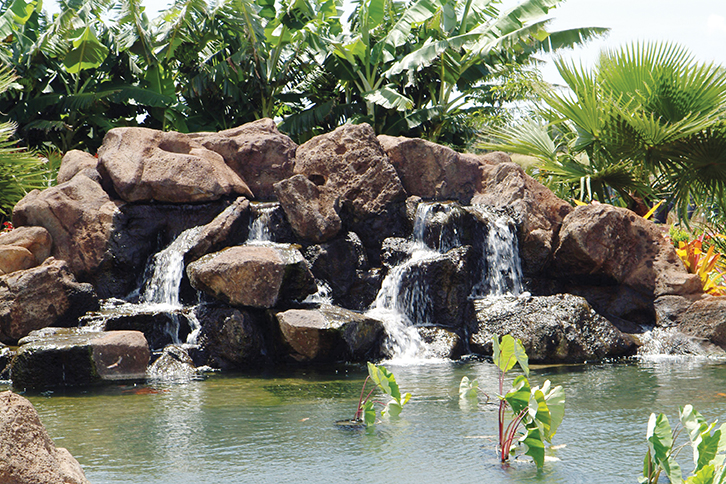 dole plantation garden tour