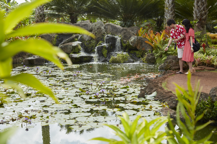 dole plantation garden tour