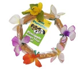 Pineapple Doggie Treat Lei