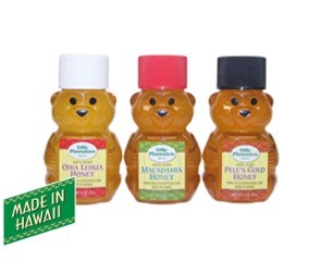 Honey Bear Set