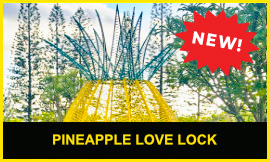 DP_Slider_PineappleLoveLock-Edit1