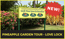 DP_Tour_LoveLock slider-thumb1
