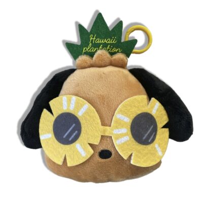HELLO KITTY - 4" POCHACCO PLUSH WITH SUNGLASSES AND KEY RING